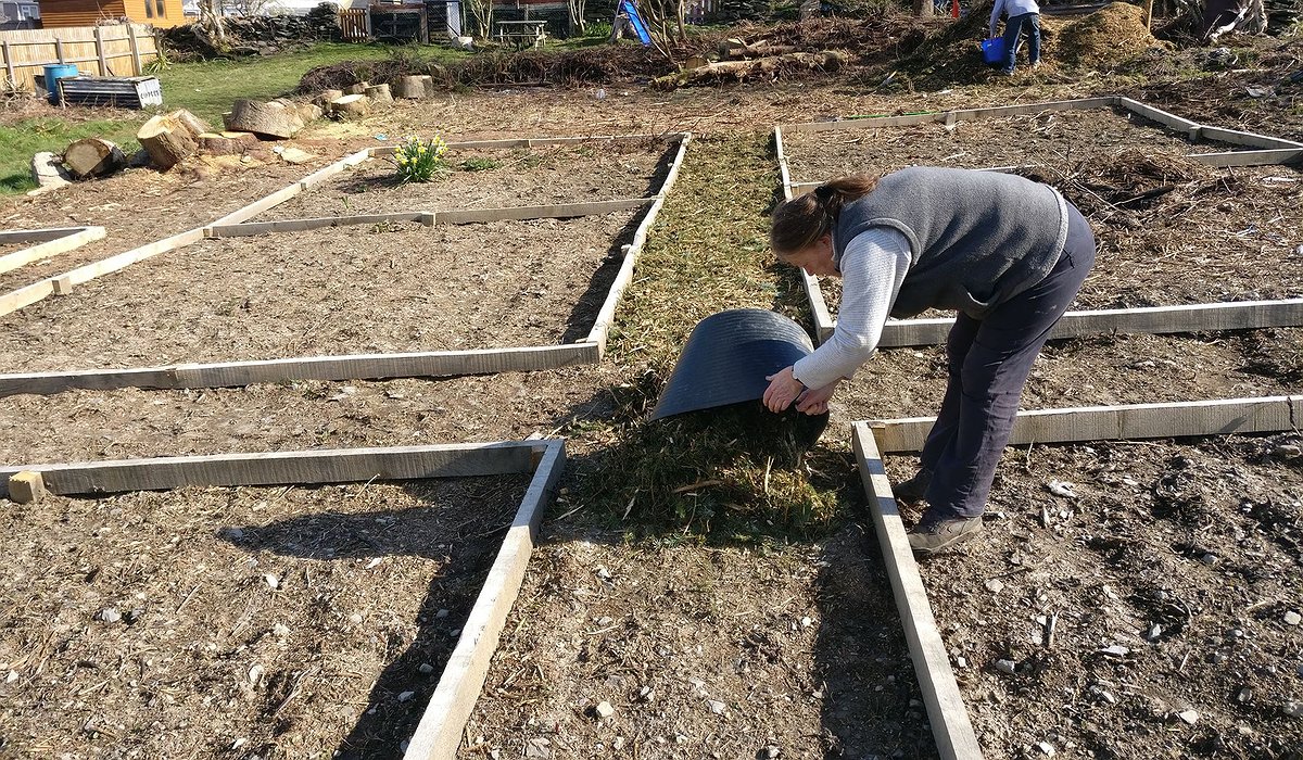 A woman is working on laying hay for a path at the Corwen allotments, part of the Nature for Health project