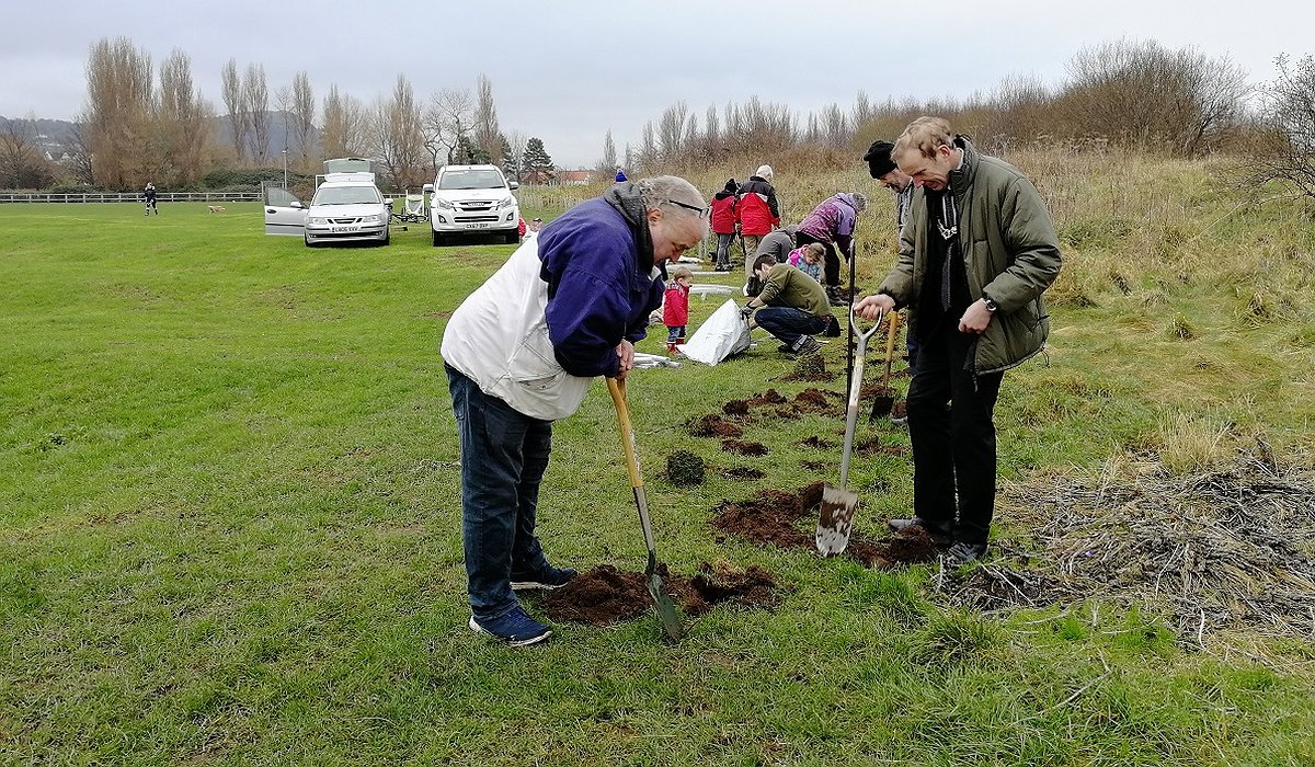 A group of people taking part hedge planting as part of the Morfa Gateway and Nature for Health project