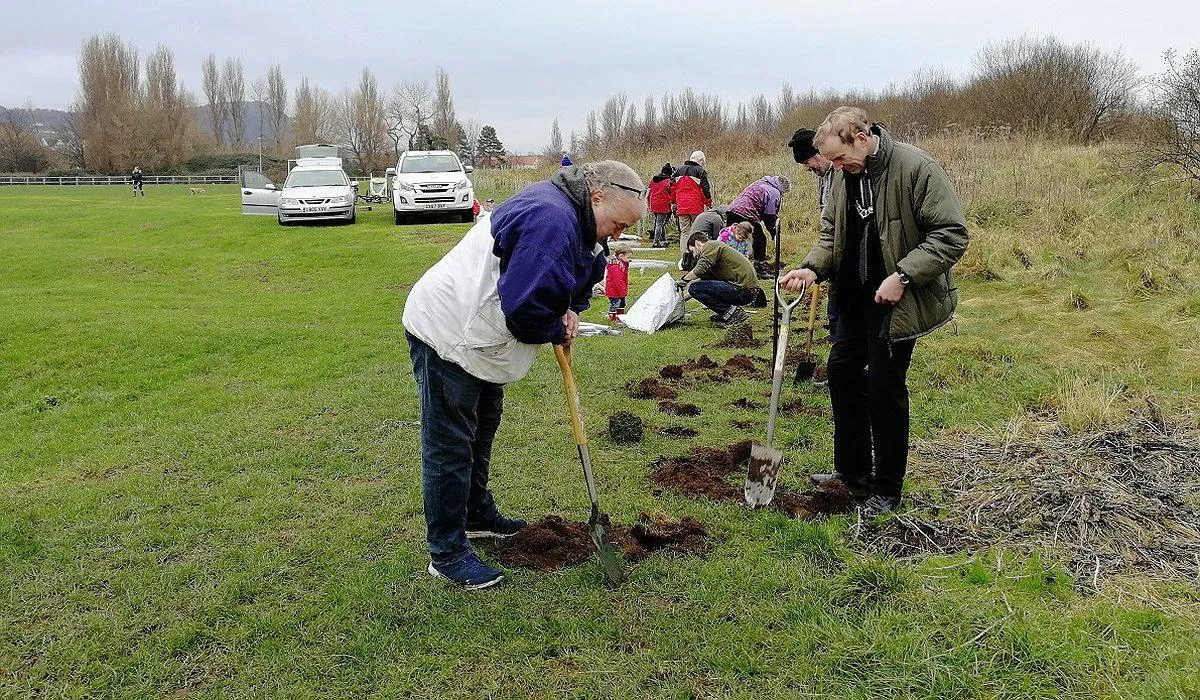 A group of people taking part hedge planting as part of the Morfa Gateway and Nature for Health project