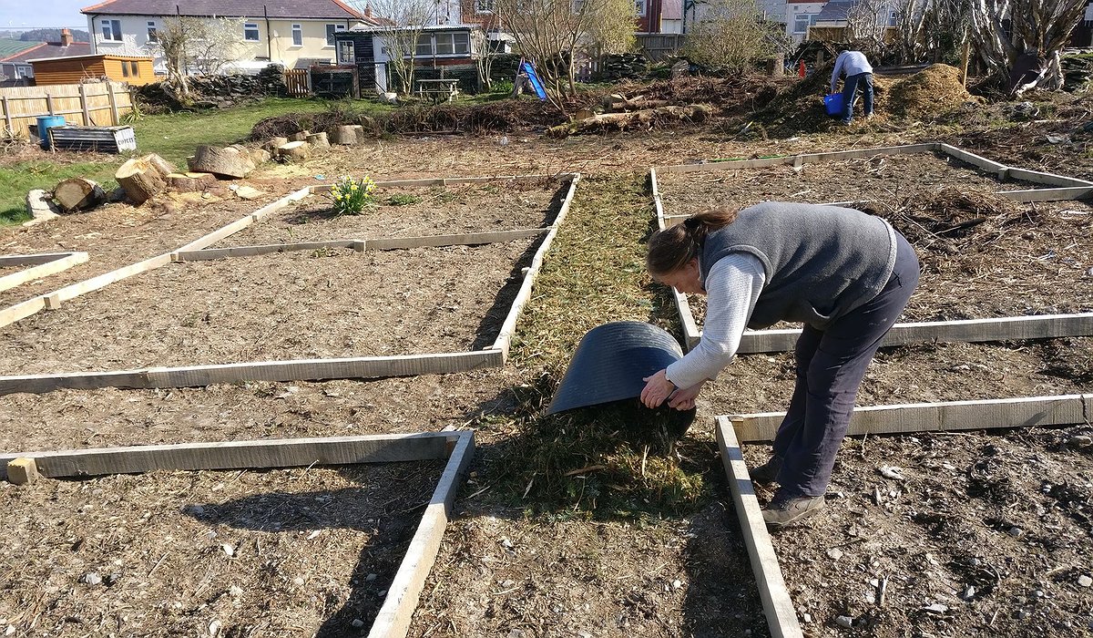 A woman is working on laying hay for a path at the Corwen allotments, part of the Nature for Health project