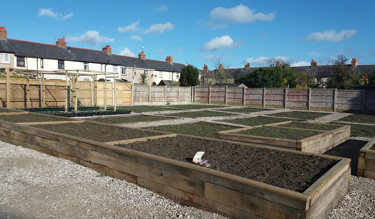 The Geufron allotments at Rhyl as part of the Nature for Health project on a sunny day.