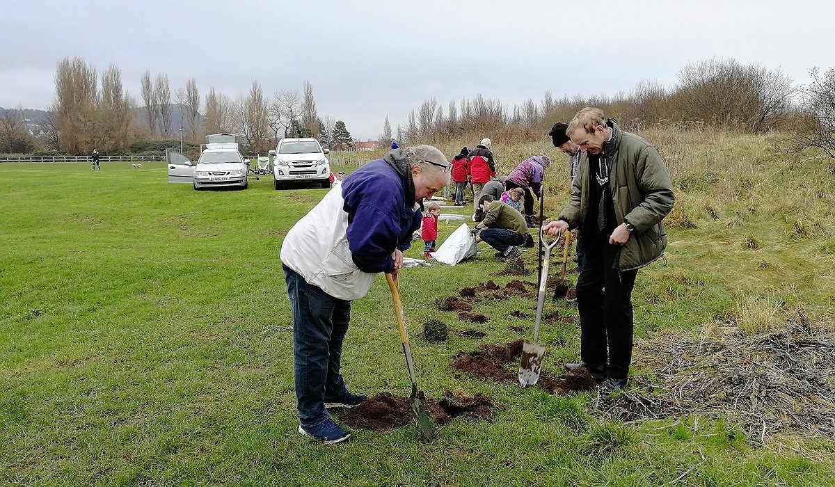 A group of people taking part hedge planting as part of the Morfa Gateway and Nature for Health project