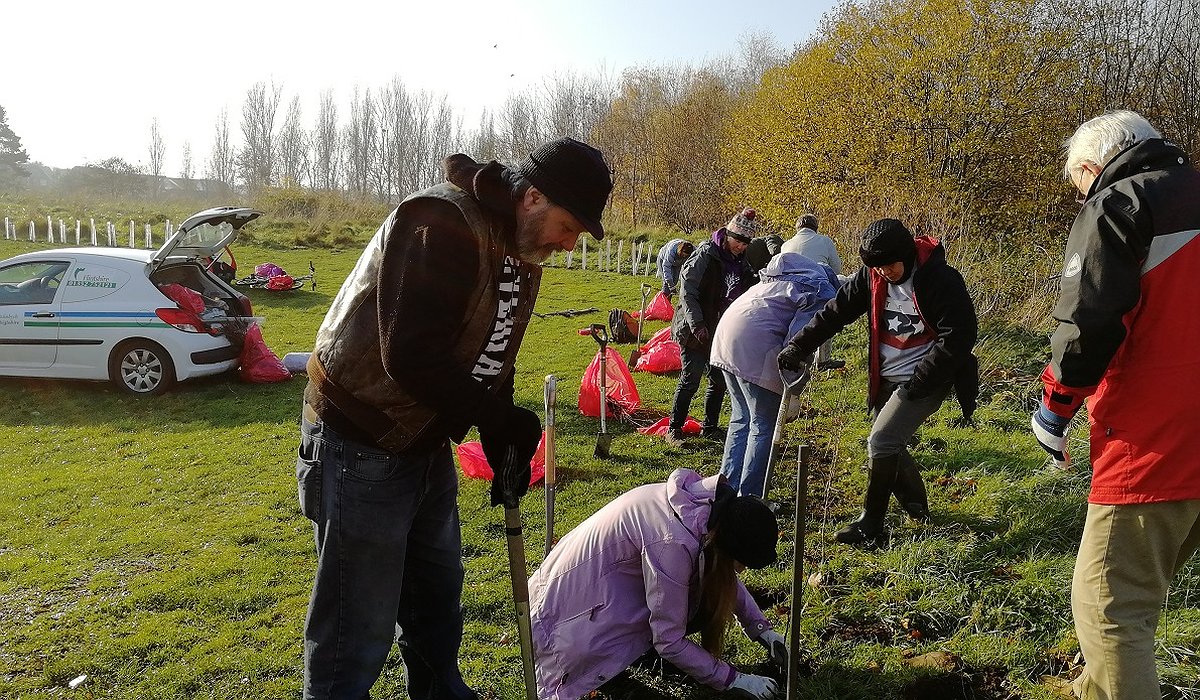 People taking part with hedge planting at the Morfa Gateway and Nature for Health project.