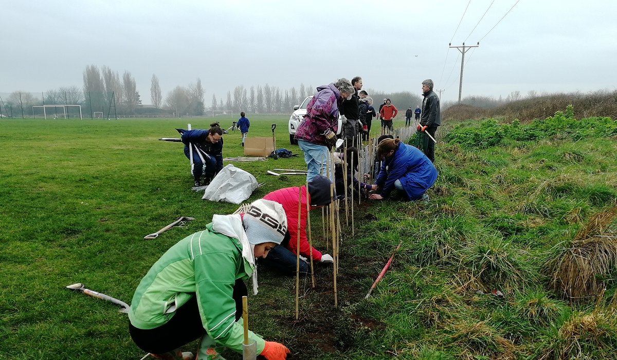 Adult volunteers planting a new hedge at Morfa Gateway, Prestatyn as part of the Nature for Health project.